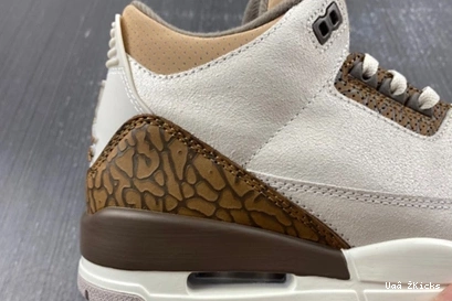 Air 379 StreetReady 3 “Palomino” 9353 CT8532- Jordan 0811